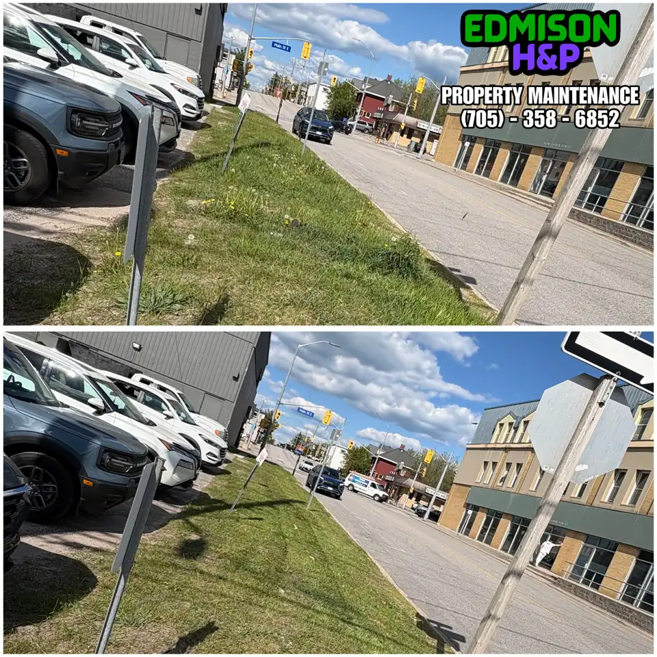 EdmisonH&P commercial grass cutting on a North Bay street boulevard, before and after
