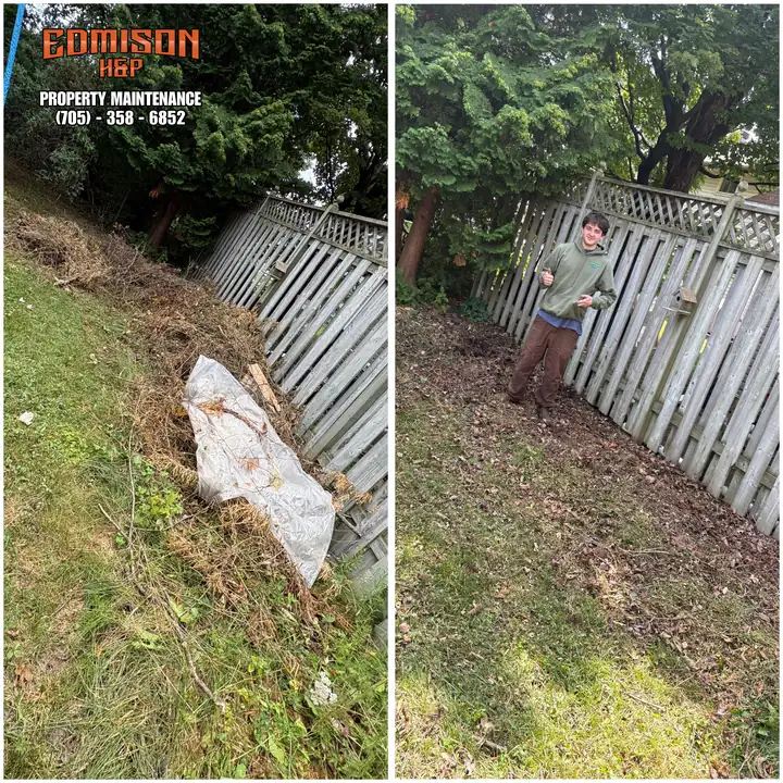EdmisonH&P fence line in North Bay choked with brush before and cleared after