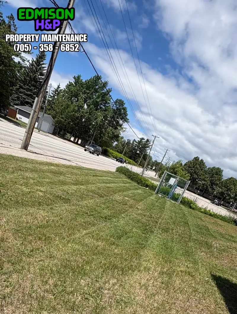 Freshly cut and striped lawn by EdmisonH&P in North Bay
