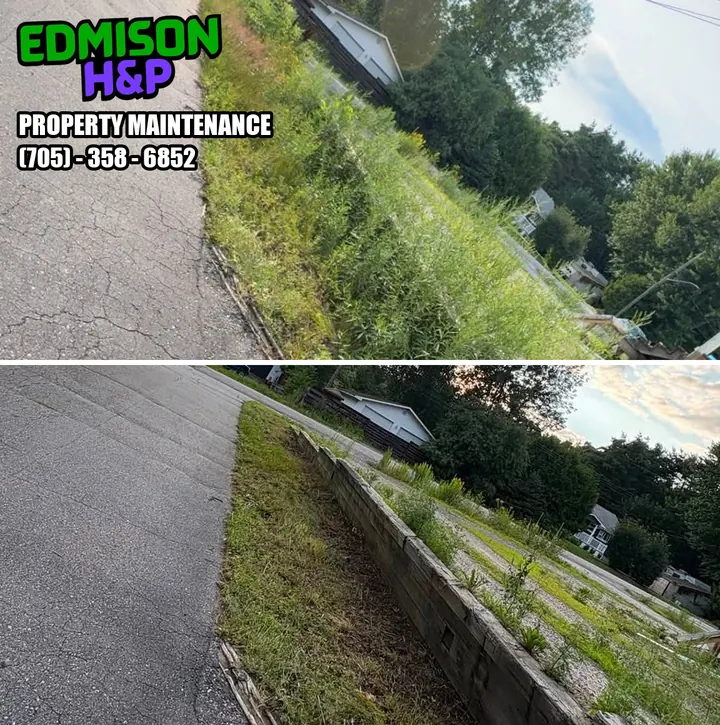 EdmisonH&P garden bed weed cleanup in North Bay, retaining wall bed overgrown before and cleared after