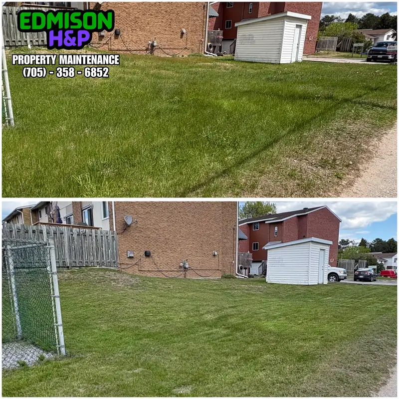 EdmisonH&P lawn mowing job in North Bay, long grass before and clean cut after