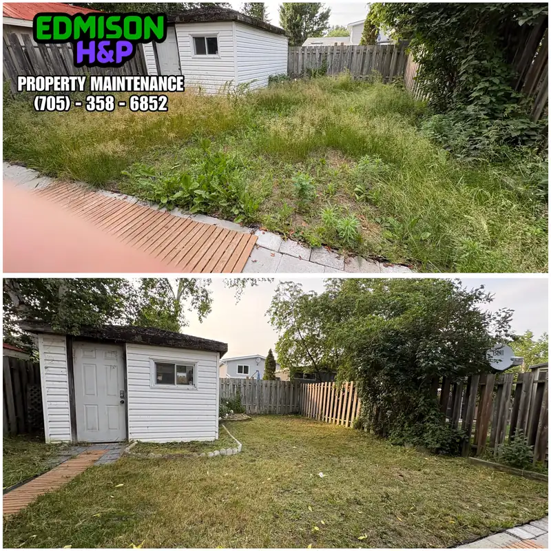 EdmisonH&P overgrown yard in North Bay before cleanup and the same yard mowed after