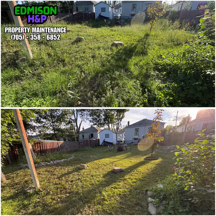 EdmisonH&P yard cleanup in North Bay, overgrown before and raked clean after at sunset